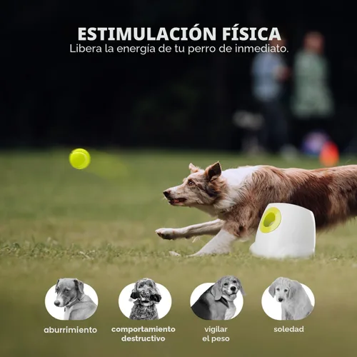 Miniatura 3 de ALL FOR PAWS Lanzador automático de bolas para perros, máquina interactiva para cachorros, bolas para mascotas, para exteriores, 6 bolas incluidas