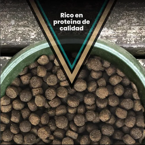 Miniatura 4 de VICTOR Super Premium - Alimento para perros Hi-Pro Plus - Comida seca para perros con alto contenido de proteínas con 30% de proteínas, carne