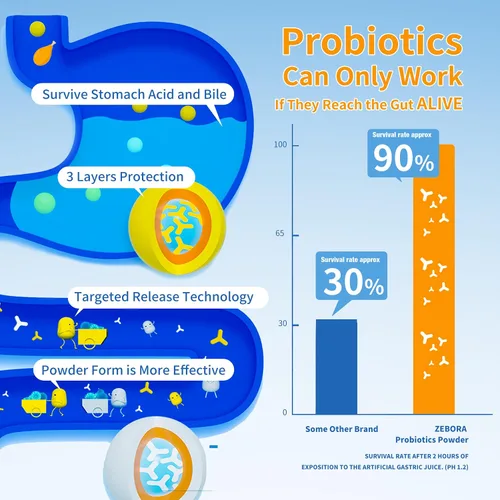 Miniatura 5 de Probióticos para mujeres, hombres y niños, prebióticos y probióticos en polvo para la salud intestinal digestiva e inmunológica, apoyan el sistema