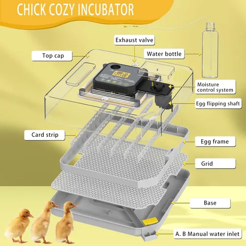 Miniatura 8 de Incubadoras para incubar huevos Incubadora de 48 huevos con giro automático y control de humedad para pollo, vela de huevo para huevos de gallina