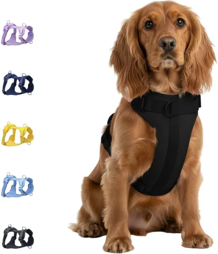 Miniatura 12 de Dog Harness - No Pull Adjustable Front Clip Vest with Soft Padding, 3Leash Clips, and No-Choke Oxford Design Comfort for Small, Medium, and Large