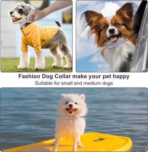 Miniatura 7 de Collar para perro de cuero brillante con diamantes de imitación tachonados, accesorio glamoroso de hebilla dorada para perros pequeños a medianos