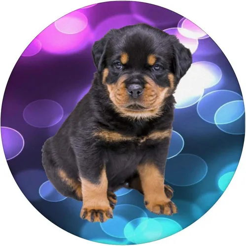 Miniatura 3 de Dixie Rottweiler cachorro – Rottie I Love perros – popsockets agarre y soporte para teléfonos y tabletas, Negro