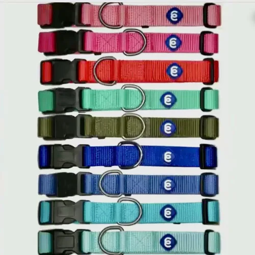 Miniatura 7 de Blueberry Pet Essentials - Collar ajustable para perro en turquesa Collares para perros medianos y grandes Nylon ecológico para cachorros machos