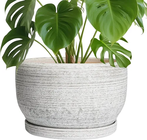 Miniatura 74 de SQOWL Macetas de cerámica – Maceta de 6 pulgadas con orificio de drenaje y bandeja, maceta redonda para plantas de interior, maceta decorativa