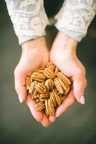 Miniatura 6 de Mantequilla de pecana orgánica certificada por USDA, hecha a mano, pequeños lotes, apta para keto, sin gluten, todo natural, hecha de nueces pecanas