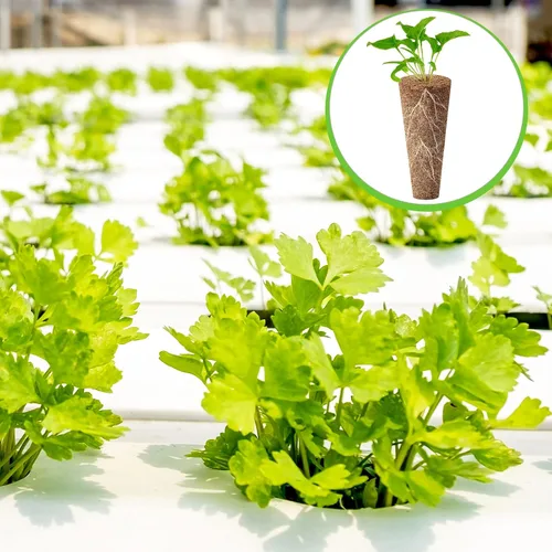Miniatura 6 de Chumia 200 esponjas de cultivo hidropónico de repuesto para crecimiento de raíces, cápsulas de iniciación de semillas para sistema de cultivo