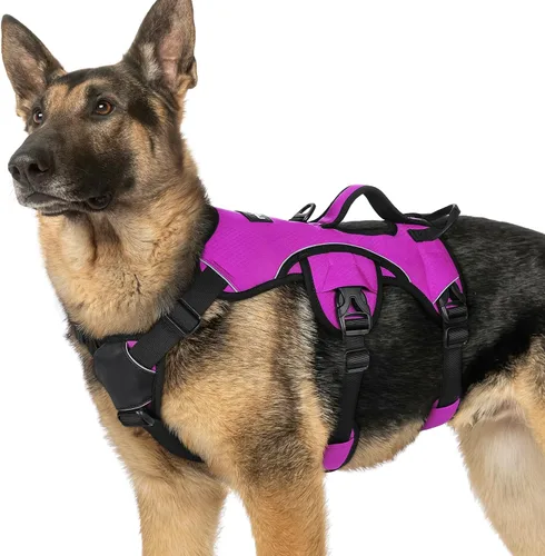 Miniatura 12 de rabbitgoo - Arnés para perro a prueba de fugas, arnés para mascotas acolchado suave de cuerpo completo, chaleco reflectante ajustable sin tirones