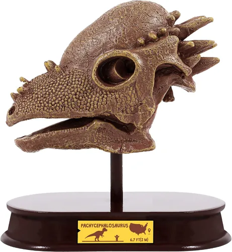 Miniatura 11 de ArtCreativity Kit de excavación de dinosaurios para niños, juego de excavación de cráneo de braquiosaurio con herramientas de excavación de fósiles