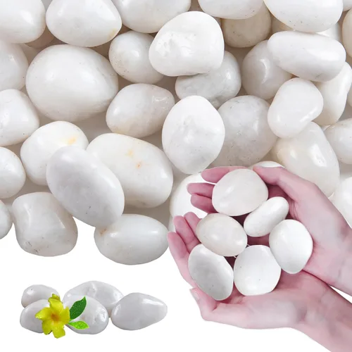Rocas blancas de río de 10 libras para paisajismo, guijarros blancos altamente pulidos para plantas, piedras decorativas de jardín, 1-2 rocas