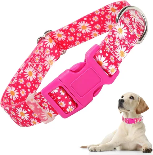 Miniatura 15 de Collares de Perro para Niñas con Patrones de Margaritas, Lindo Collar Rosa para Perras, Collares Ajustables Blandos y Duraderos para Perros XS 12