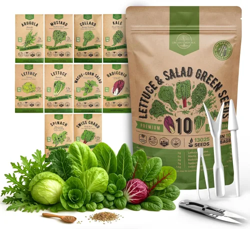 Organo Republic Paquete de Variedad de 10 Semillas de Lechuga y Verduras para Ensalada 13000+ Semillas de Lechuga Reliquia Sin OMG para Plantar en