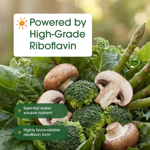 Miniatura 6 de NatureBell Vitamina B2 (riboflavina) 400 mg - 240 cápsulas - Suplemento para energía, piel y salud celular* - Sin OMG y sin gluten - Fácil