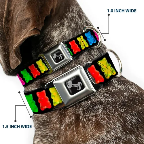 Miniatura 2 de Buckle-Down Collar de perro con hebilla de cinturón de seguridad, osos gomitas, negro/multicolor, 1.5 pulgadas de ancho, se adapta a cuello de 13-18