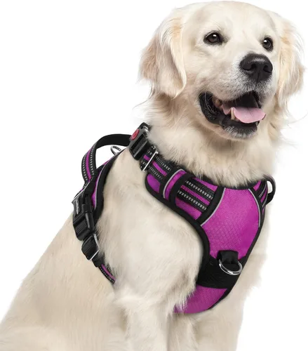 Miniatura 53 de rabbitgoo Arnés para perro de tamaño pequeño, chaleco para perro sin tirones con 3 hebillas, arnés ajustable y acolchado suave para mascotas con asa