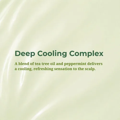 Miniatura 5 de Daeng Gi Meo Ri Tea Tree Cool Shampoo Cuidado del cuero cabelludo refrescante con árbol de té y aloe vera Refresca el cabello graso, hidrata