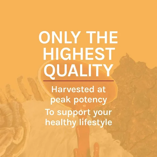 Miniatura 8 de Host Defense Extracto de Cordyceps - Suplemento de apoyo inmunológico y energético - Suplemento de salud renal con Cordyceps - Apoyo físico