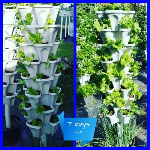 Miniatura 3 de Mr. Stacky Jardineras verticales (azul Tiffany)