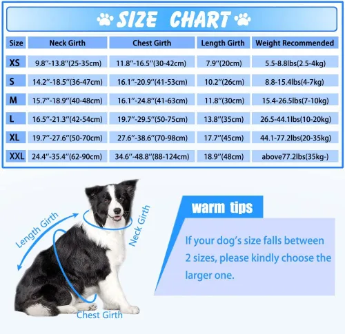 Miniatura 5 de EMUST Chalecos salvavidas ajustables para perros pequeños con flotabilidad mejorada, chaleco de natación para perros pequeños con asa de rescate