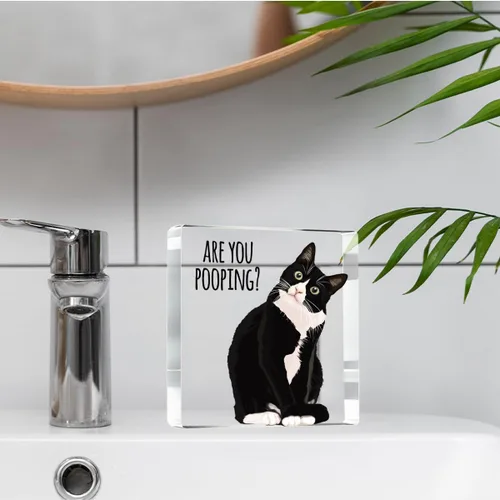 Miniatura 3 de ¿Estás haciendo caca? Letrero divertido, decoración de gato negro, decoración de baño acrílica de gato, decoración creativa para el hogar, regalo