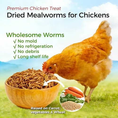Miniatura 3 de RANZ 4.5 KG Gusanos secos sin OMGs para pollos, gusanos altos en proteínas, alimento premium para pollos, alimento perfecto para aves y golosinas