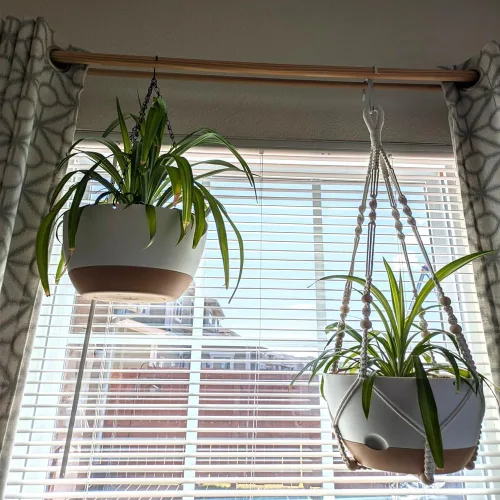 Miniatura 5 de Macetas colgantes de autorriego, juego de 2 colgadores de plantas de macramé bohemio, macetas colgantes con drenaje para interiores y exteriores