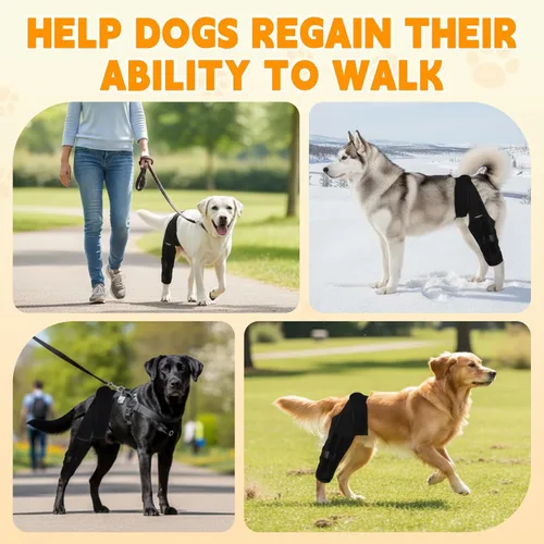 Miniatura 7 de Rodillera para perro para desgarro del ligamento cruzado anterior, soporte ajustable y transpirable para pierna trasera, material duradero para una