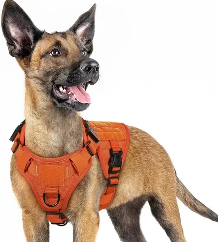 Miniatura 34 de rabbitgoo - Arnés táctico para perros pequeños, arnés resistente para mascotas con asa, chaleco de servicio sin tirones para razas pequeñas, chaleco