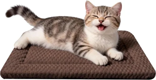 Miniatura 44 de Alfombrilla para Cama de Perro – Almohadilla de Perrera Suave y Cómoda para Jaula – Cama y Almohadilla Duradera para Perros y Gatos – Ideal para Gris