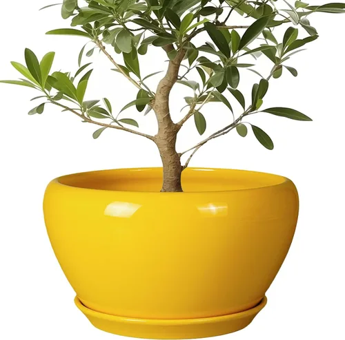 Miniatura 56 de Maceta de Cerámica Moderna con Esmalte para Suculentas con Agujero de Drenaje y Platillo, Maceta Redonda de 6 Pulgadas para Plantas de Flores