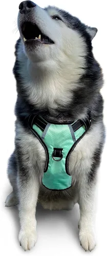 Miniatura 21 de Arnés antitirones para perro pequeño con 2 hebillas de liberación rápida y mango de fácil control, chaleco suave reflectante sin estrangulamiento