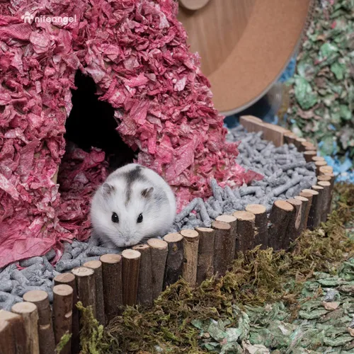 Miniatura 4 de Niteangel Juguete de puente colgante de hámster, escalera larga de escalada para ratones de hámster sirio, jerbos y otros animales pequeños