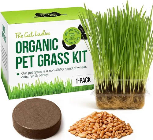Kit de cultivo de césped para gatos de The Cat Ladies - Semillas orgánicas, tierra y envases libres de BPA (sin OGM) - Todas nuestras semillas son