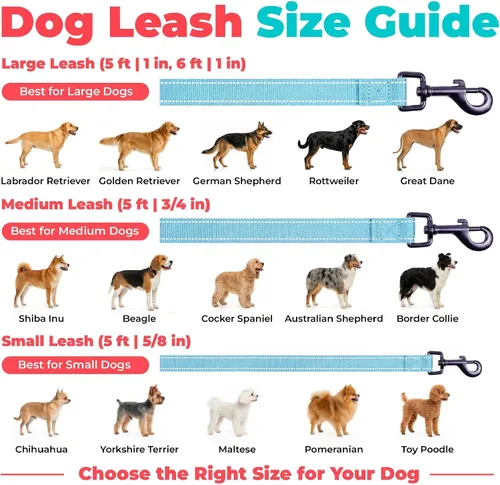 Miniatura 6 de Best Pet Supplies Correa reflectante Voyager para perros con mango de neopreno, para razas pequeñas, medianas y grandes, bonita y resistente