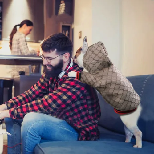 Miniatura 4 de Sudadera con capucha para perro de diseño clásico, abrigo de lujo para cachorros, abrigo cálido para mascotas, diseño de cremallera, ropa Teddy