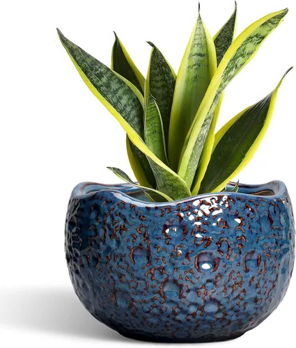 Miniatura 27 de Macetas de Cerámica Thirtypot - Maceta de 4 Pulgadas con Agujero de Drenaje, Macetas Pequeñas para Plantas de Interior y Exterior, Maceta Redonda