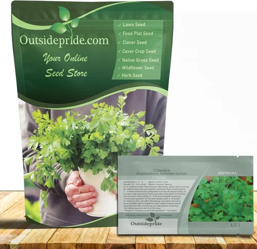 Miniatura 8 de Outsidepride Semillas anuales de jardín de hierbas de cilantro cilantro para microverdes, brotes y cocina de 1 oz