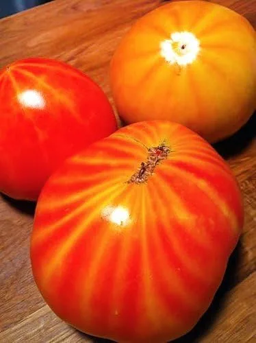 Miniatura 7 de Más de 30 semillas gigantes de tomate Mr. Stripey de 1-2 libras, sin OMG, bajas en ácido, indeterminadas, polinizadas abiertas, sabor rico