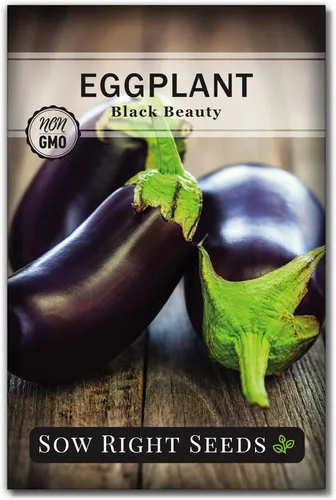 Sow Right Seeds - Semilla de berenjena Black Beauty para plantar - Paquete de reliquia sin OMG con instrucciones para plantar un huerto en el hogar