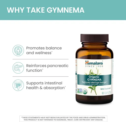 Miniatura 5 de Himalaya Organic Gymnema Sylvestre – Apoyo al metabolismo de la glucosa a base de hierbas – USDA orgánico, sin OMG, vegano, sin gluten, sin