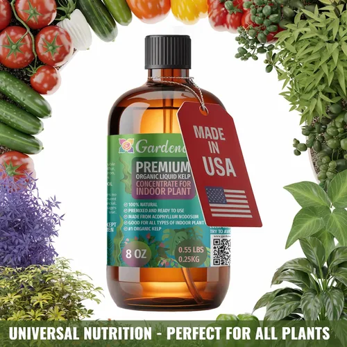 Miniatura 5 de GARDENERA Superalimento orgánico prémium de algas marinas y algas marinas para plantas AGLAONEMA, 8 onzas, concentrado de fertilizante líquido