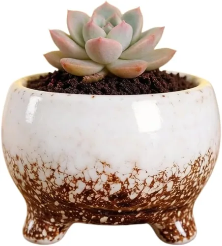 Miniatura 59 de Bonita maceta circular de cerámica para decoración del hogar y jardín, suculentas, cactus, maceta no incluida (azul, 3.19 pulgadas)
