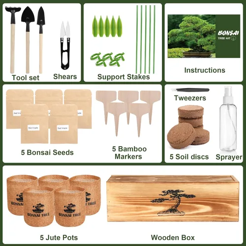 Miniatura 2 de Paquete de 5 Kits de Árbol Bonsái - 5 Semillas Kit Vivo de Planta de Árbol Bonsái en Crecimiento para Principiantes, Fácil de Cultivar Kits