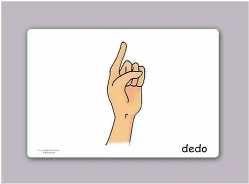 Miniatura 3 de Tarjetas de vocabulario -Partes del Cuerpo - Tarjetas de carrocería en español para niños pequeños de 2 a 4 años, niños y adultos