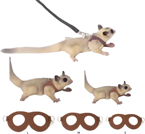 Miniatura 12 de MANON ROSA Sugar Glider - Juego de arnés y correa, chaleco ajustable de 3 piezas a prueba de escapes para ardillas, ratas, ratones, ratones y 01