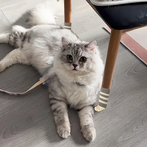 Miniatura 6 de 16 calcetines de silla de gato para patas de silla, protectores de suelo de patas de gato, calcetines para patas de silla para suelos de madera dura