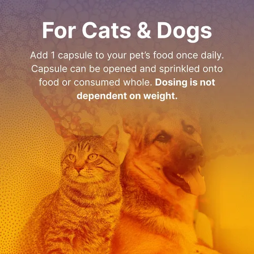 Miniatura 5 de Microbiome Labs Fidospore - Probióticos para perros para salud digestiva y apoyo inmunológico, probióticos para mascotas formadores de esporas