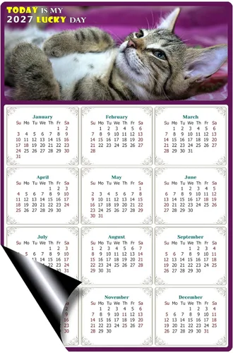Miniatura 2 de Calendario magnético 2024 – Imanes del calendario – Today is my Lucky Day – Resistente a la decoloración, desgarros y agua – Temática de gato 08