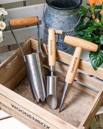 Miniatura 7 de Dibber con medidas de 5 pulgadas, herramienta de jardín Dibber de mano, herramienta para sembrar semillas, dispensador de semillas, excavador