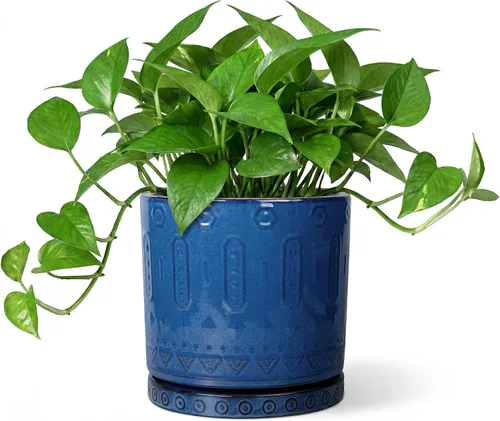 Miniatura 35 de Maceta de Cerámica Eightpot - Maceta de 20 cm para Interior con Agujeros de Drenaje y Platillo, Maceta Redonda para Exterior, Maceta Moderna de Azul